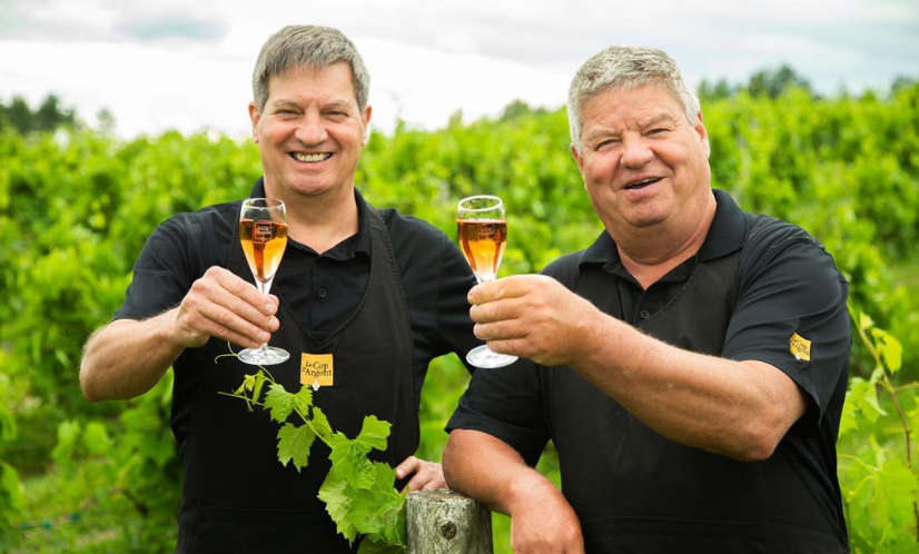 Vignoble Le Cep D'Argent